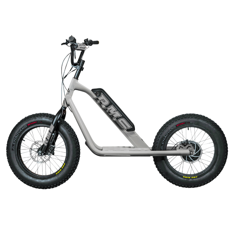 Trottinette électrique RMS Bike 20F-X gris aluminium RAL 9006 moteur 500 W homologuée NF EN 14876