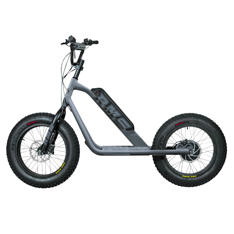 Trottinette électrique RMS Bike 20F-X gris ardoise RAL 7015 moteur 500 W homologuée NF EN 14761