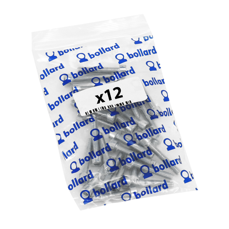 Vis CHC 6 pans creux M5 x 45 mm chrome Sélection P2R (sachet de 12 pièces) - vue 3