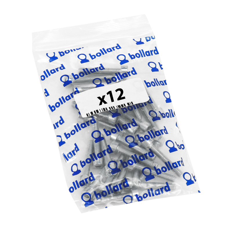 Vis CHC 6 pans creux M5 x 50 mm chromée Sélection P2R (sachet de 12 pièces) - vue 3