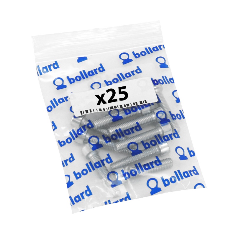 Vis CHC 6 pans creux M6 x 16 mm chrome Sélection P2R (sachet de 25 pièces) - vue 3