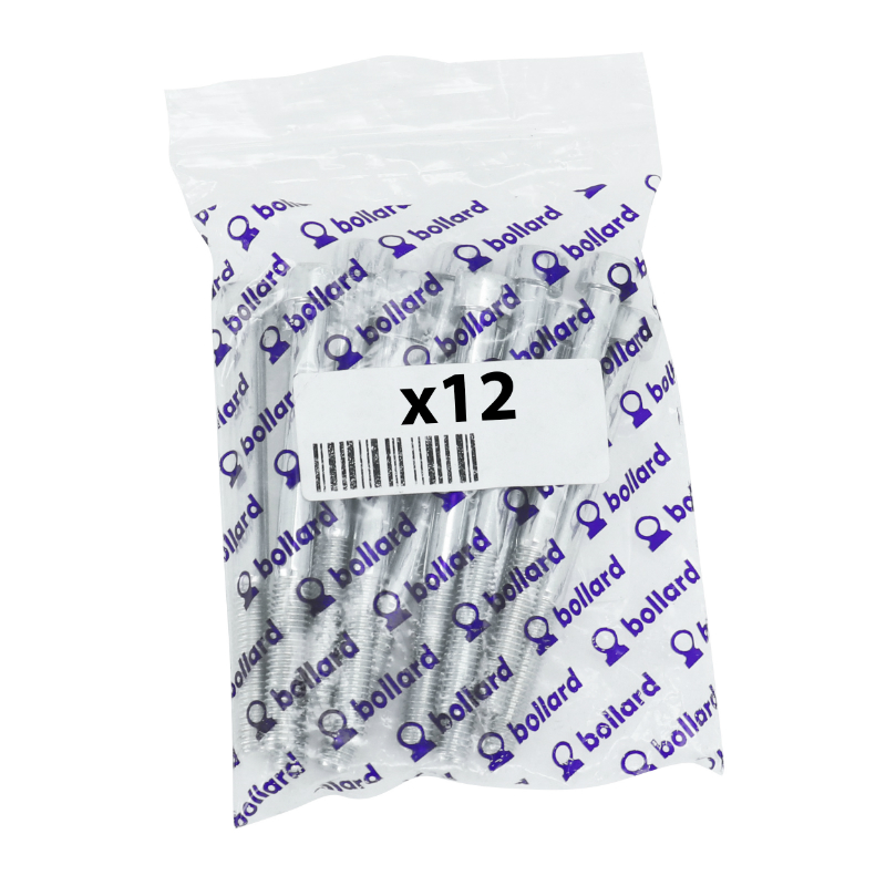 Vis CHC 6 pans creux M6 x 100 mm chrome Sélection P2R (sachet de 12 pièces) - vue 3
