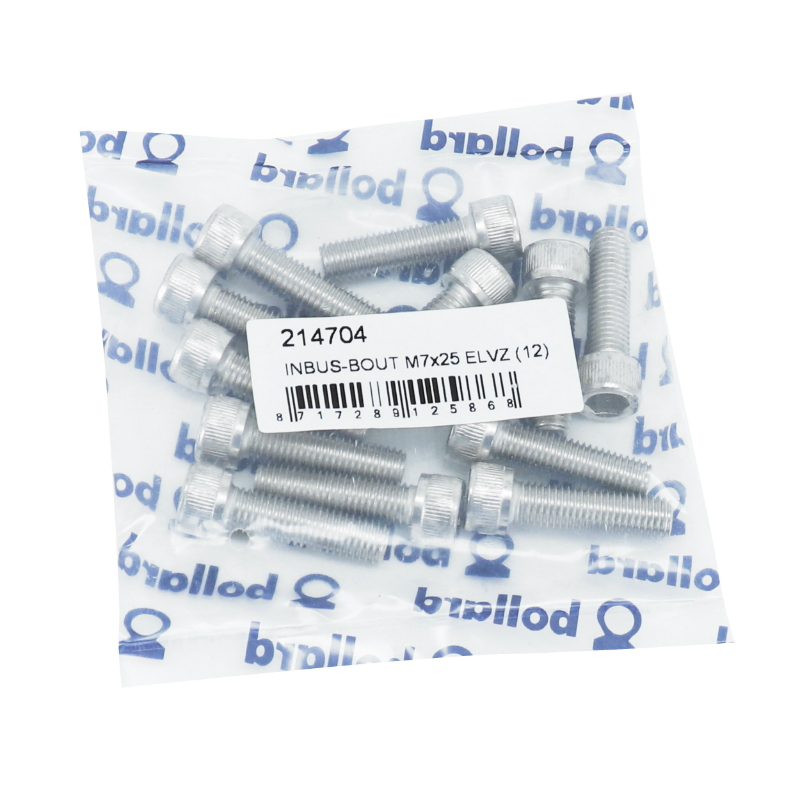 Vis CHC 6 pans creux M7 x 25 mm chrome Sélection P2R (sachet de 12 pièces) - vue 3