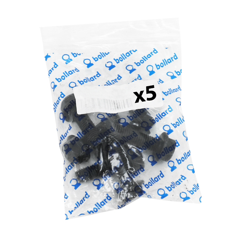 Vis 6 pans épaulée M8 x 45 mm noir SW13 Sélection P2R (sachet de 5 pièces) - vue 3