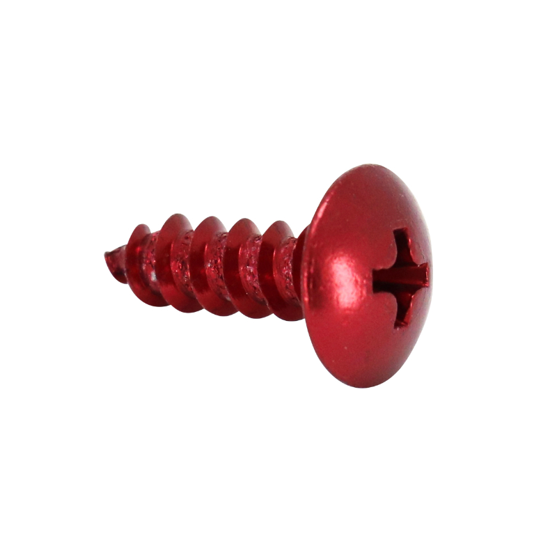 Vis Parker tête ronde 5,0 x 12 mm alu rouge Sélection P2R (sachet de 10 pièces) - vue 2