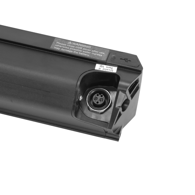 Batterie Leader Fox ZZ250 36V 16Ah 2018 - vue 2