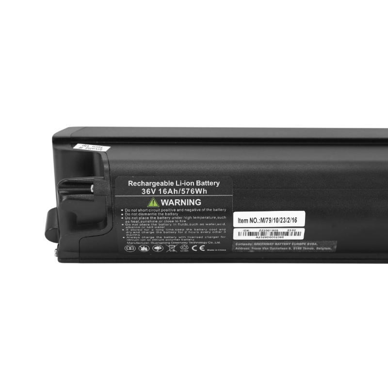 Batterie Leader Fox ZZ250 36V 16Ah 2018 - vue 3