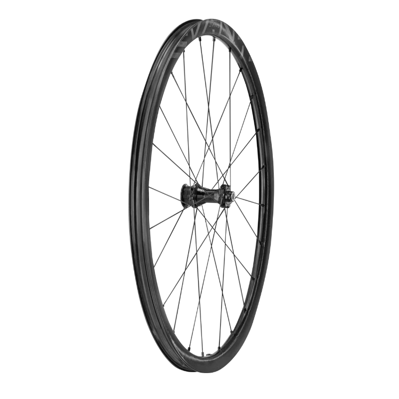 Roue gravel disque 700 Campagnolo levante avant noir centerlock tubeless ready axe traversant 12-100 24 rayons jante 25C - vue 2