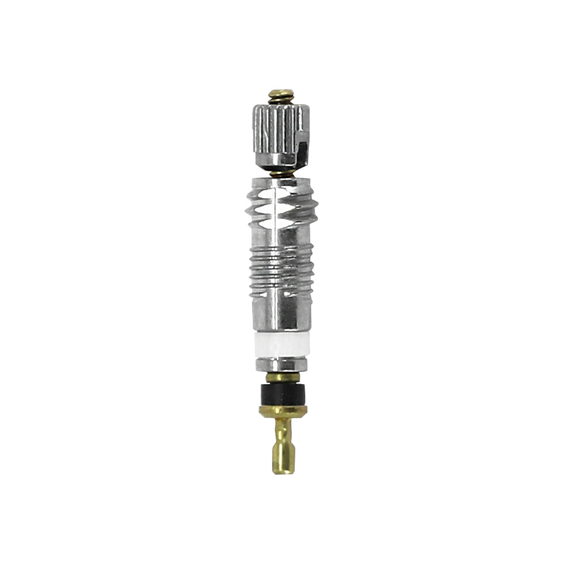 Corps de valve pour tubeless P2R argent presta - obus de valve et outil montage - demontage (lot de 10PCS) - vue 2