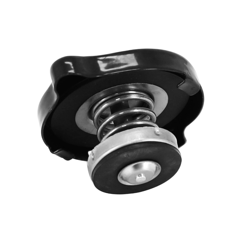 Bouchon de radiateur 50 Rieju RR RS2 Matrix Yamaha DT TZR 1,2 bar - vue 2