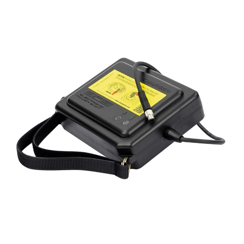 Chargeur Campagnolo pour batterie eps dans tige de selle - vue 2