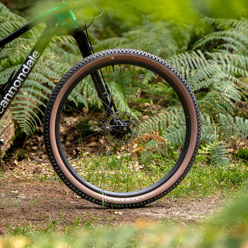 Pneu VTT Schwalbe Rock XC 29 x 2.40 TLR Super Race noir - vue 6