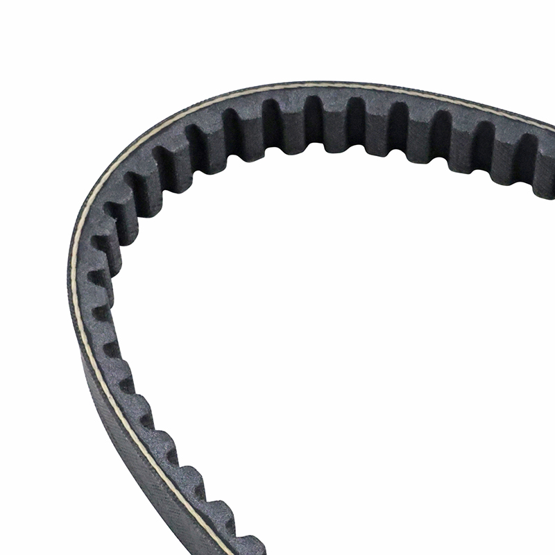 Courroie Dayco Piaggio 50 Velofax 1995-1997 (865 x 17,5) - vue 3