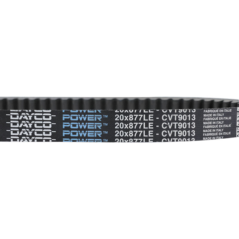 Courroie maxiscooter adaptable sym 125 symphony 2009+2021, symphony cargo 2017+2023, JET14 2018+2019 - peugeot 125 tweet 2010+ (877 x 20) -Dayco power - vue 4