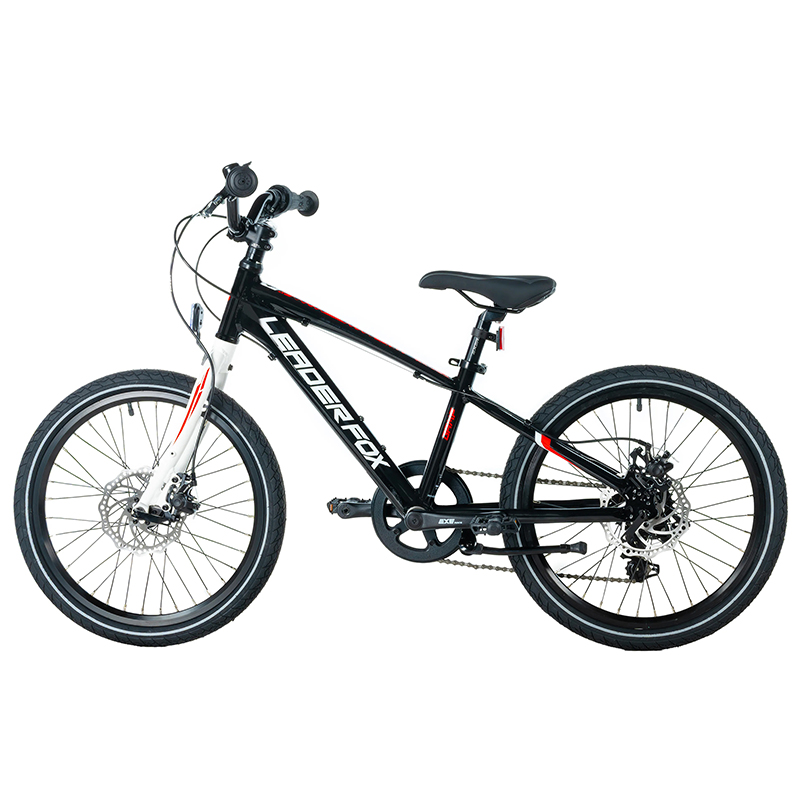Vélo VTT 20 Leader Fox Gamp 2026 garçon noir 6V enfant 120-135 cm - vue 2