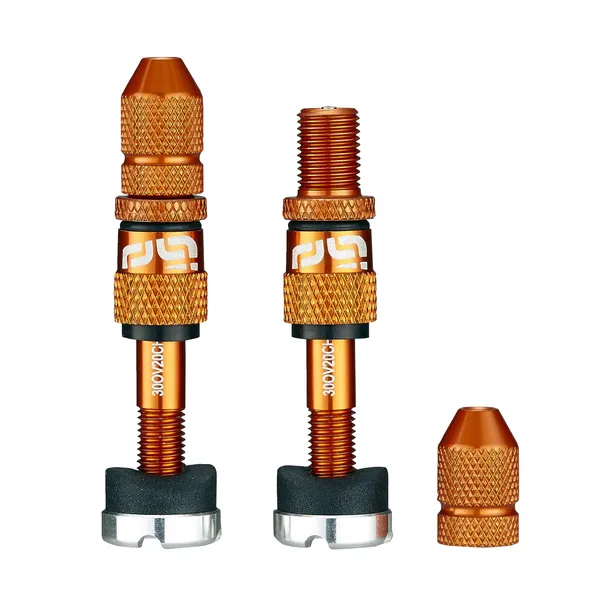 Lot de valves tubeless Schrader à remplissage rapide