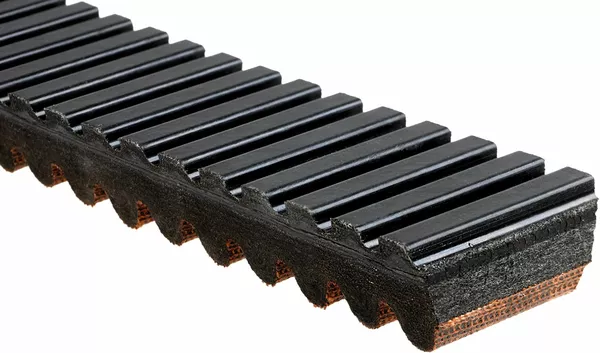 Courroie de transmission Gates Belt Drive G-Force - vue 2