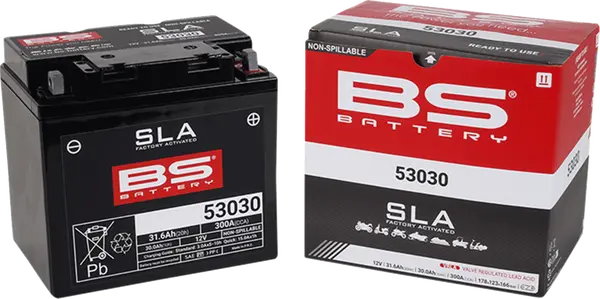 Batterie 53030 BS BATTERY - vue 4