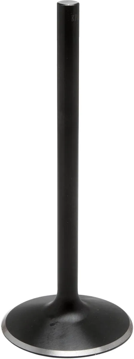 Filtre à air Nitrid ex valv F/84-99EVO Kibblewhite