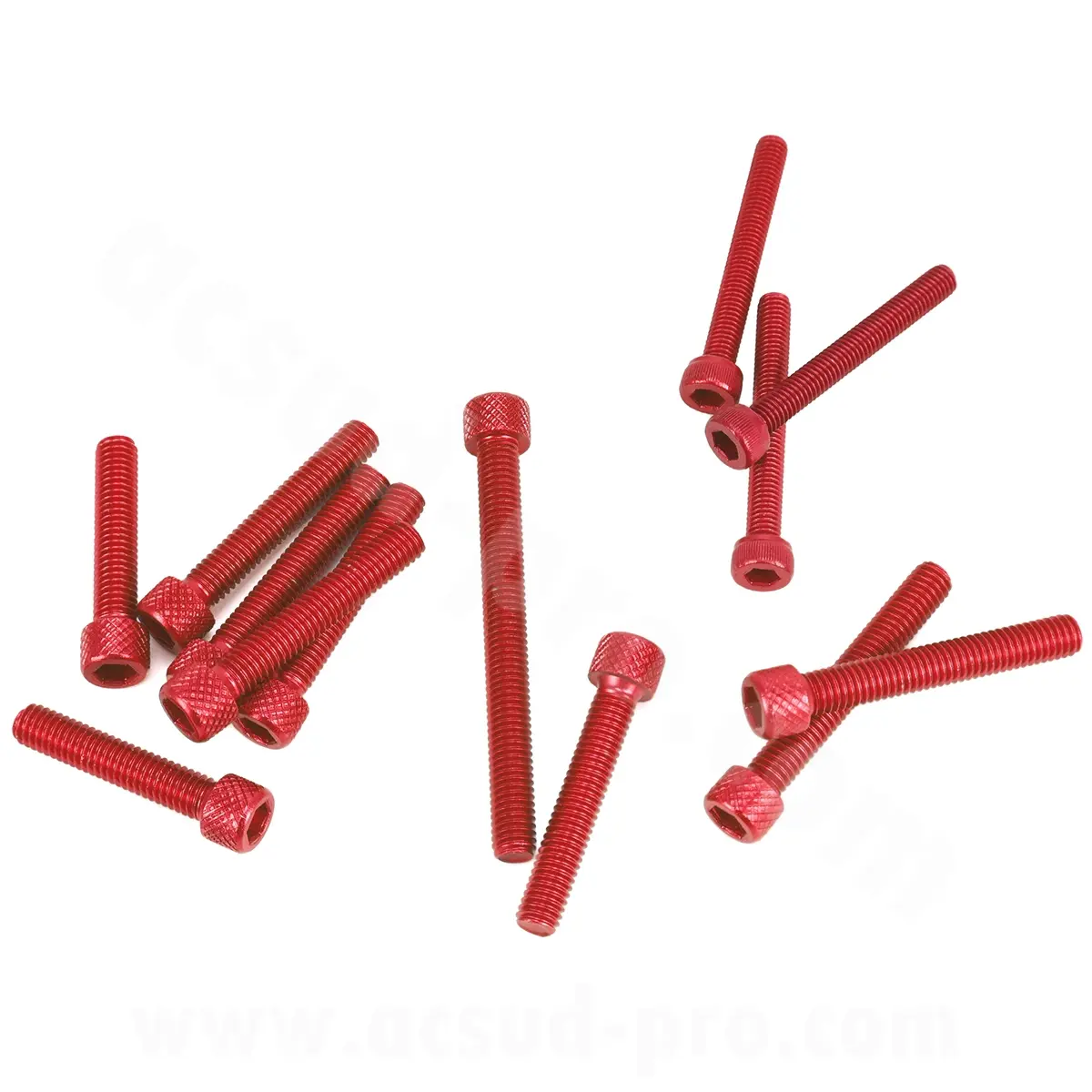 Schraubensatz BTR Kupplungsgehäuse rot passend für Motor Derbi Euro 3 / 4 ( Wasserpumpenschrauben + Ölpumpenschrauben enthalten) 13PCS