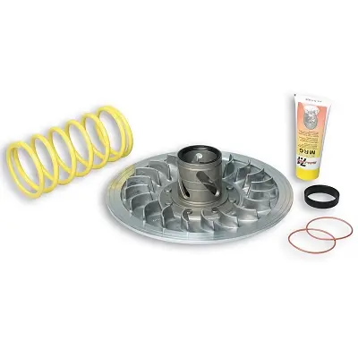 Drehmomentregler Malossi geeignet Yamaha TMAX 500 cc 2001-2011 (6113495)