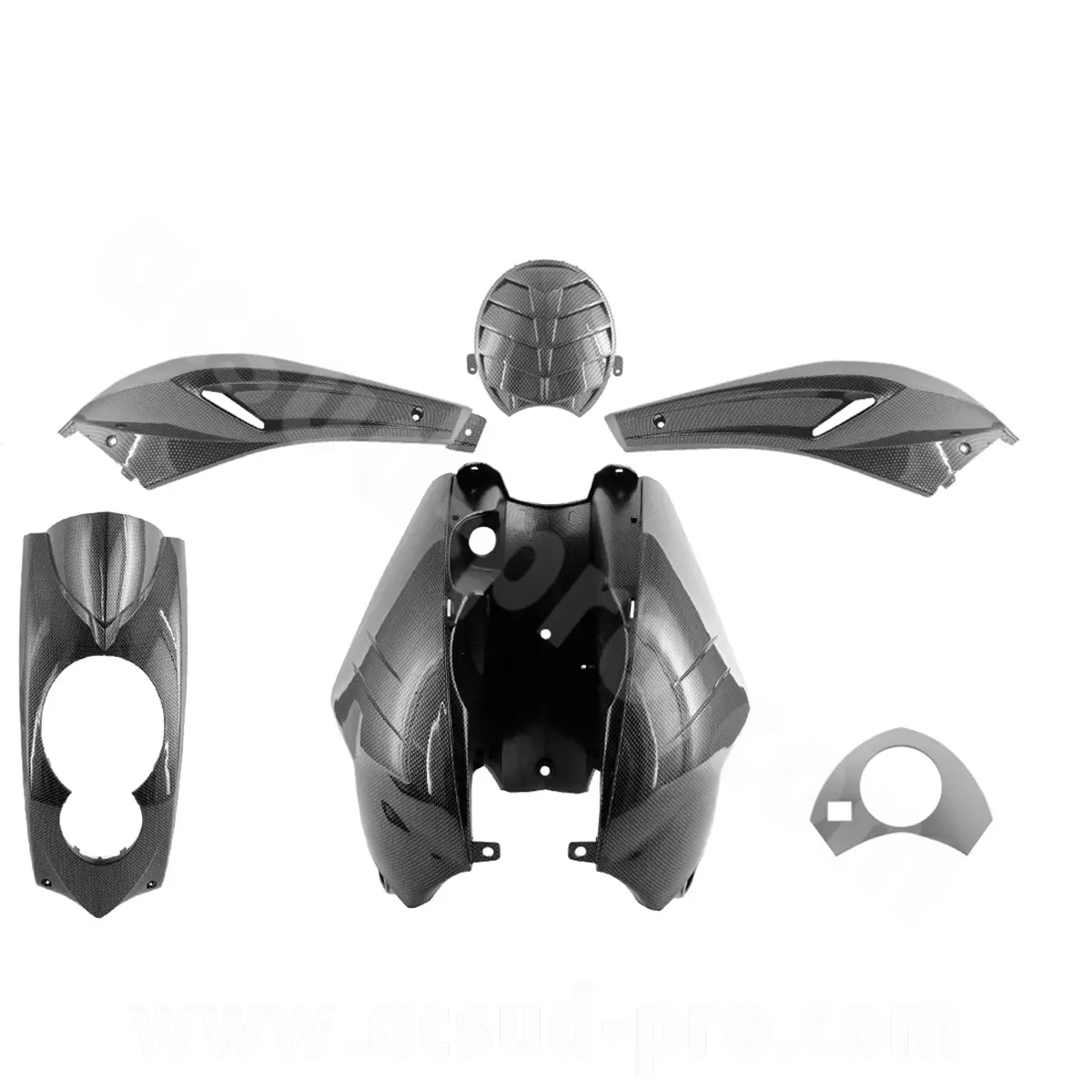 카본 페이크 5피스 보디 키트 Peugeot Ludix