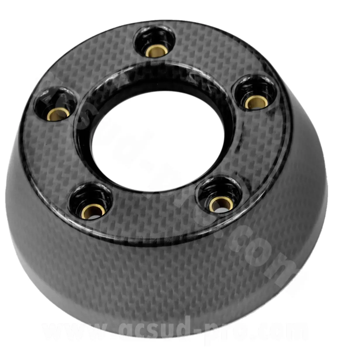 Embout d'échappement RB Max carbone Yamaha TMAX 500 / Majesty 400 2001-2007