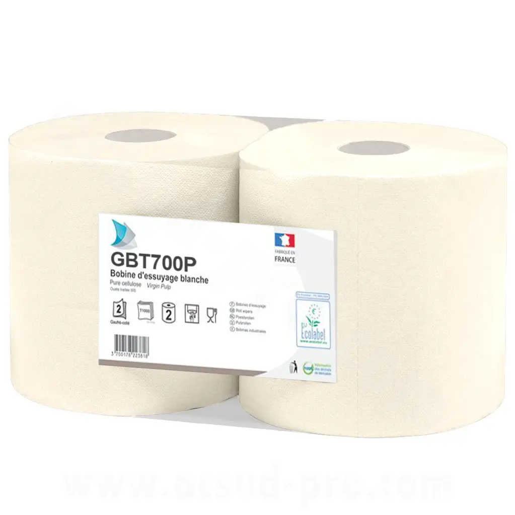 Papier bobine essuie-main blanc 20x25 cm 1000 feuilles (2 bobines) Sélection P2R