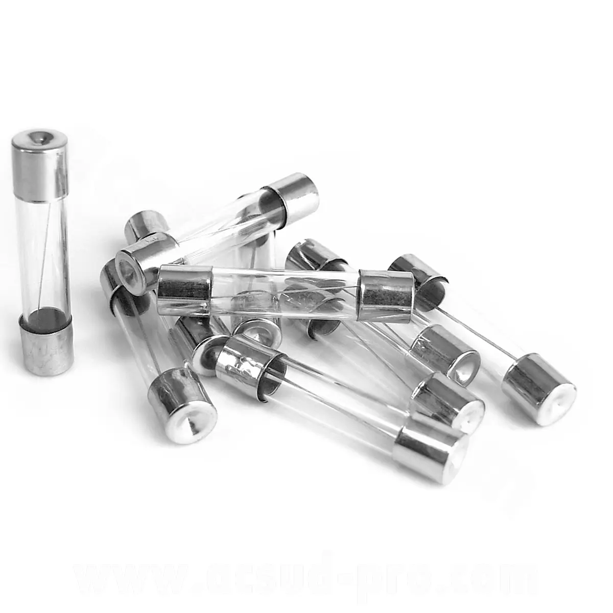 Kit 10 zekeringen glas 6X30 8A