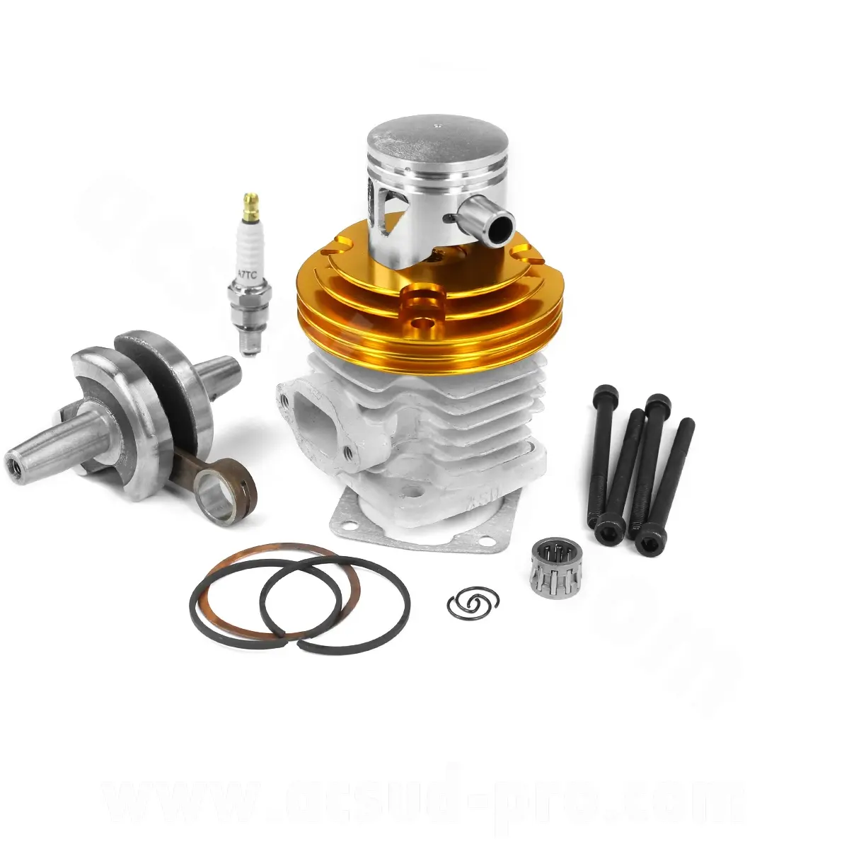 Komplettes Racing-Motorenkit für Pocket Bike Ø44 mit Ø12 mm Welle