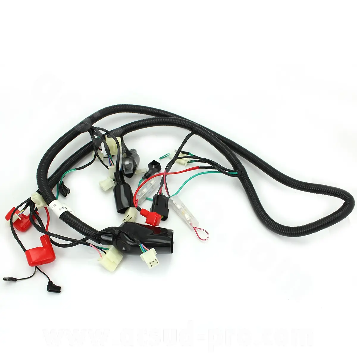 TNT Motor Boston 10 and 12 inch Euro 4 Wiring Harness 31 connectors