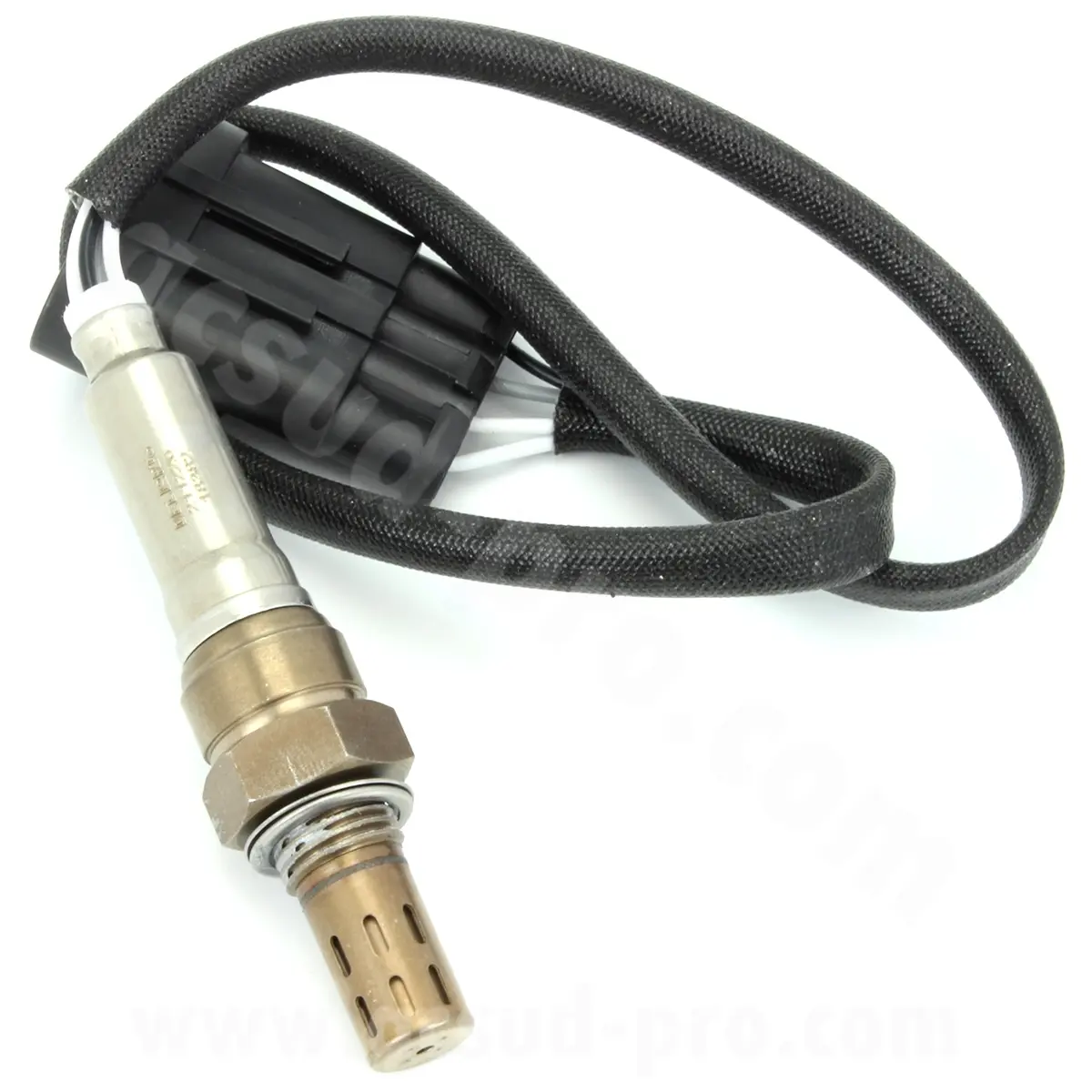 Sonde lambda TNT motor roma / boston 10 pouces / boston halo 12 pouces euro 4