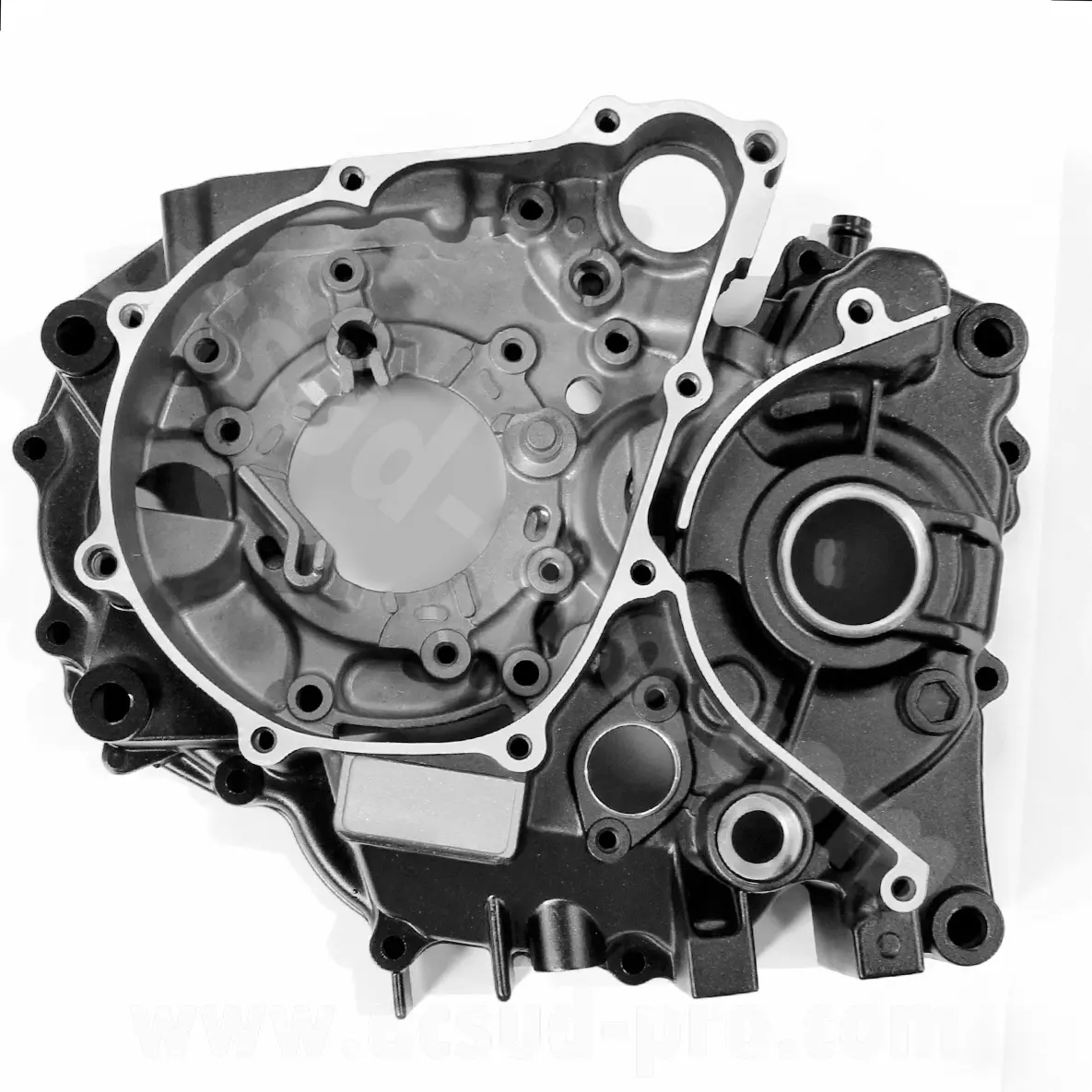 Carter moteur gauche Archive Scrambler Café Racer 125 cc