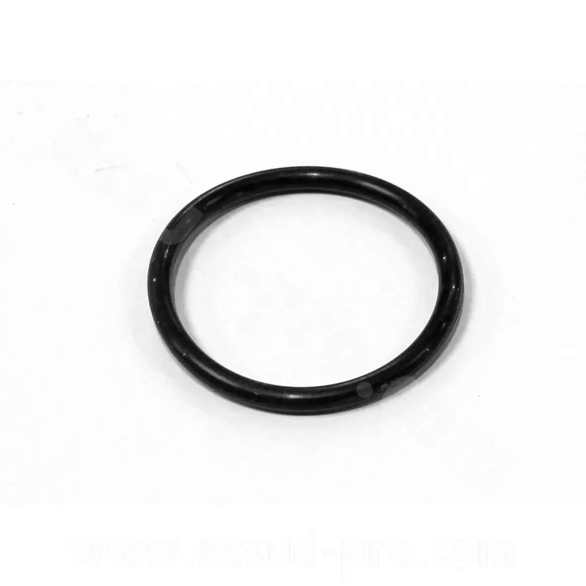 O-Ring Archive Scrambler - Café Racer 125 cc