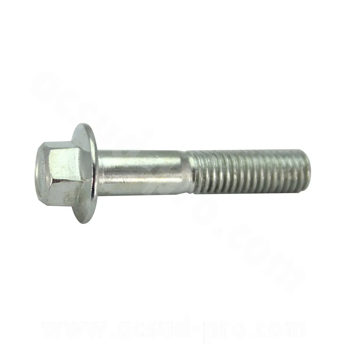 Bremssattelschraube Archive Scrambler - Café Racer 125/50 cc (M8 x 40 mm)