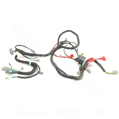 TNT MOTOR Roma 2T 10 اور 12 انچ یورو 2 مکمل وائرنگ ہارنس