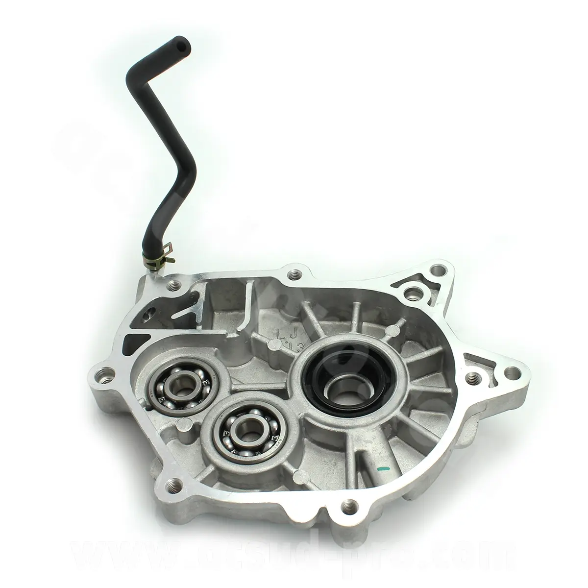 Cárter de transmissão longjia easymax 125 cc E4