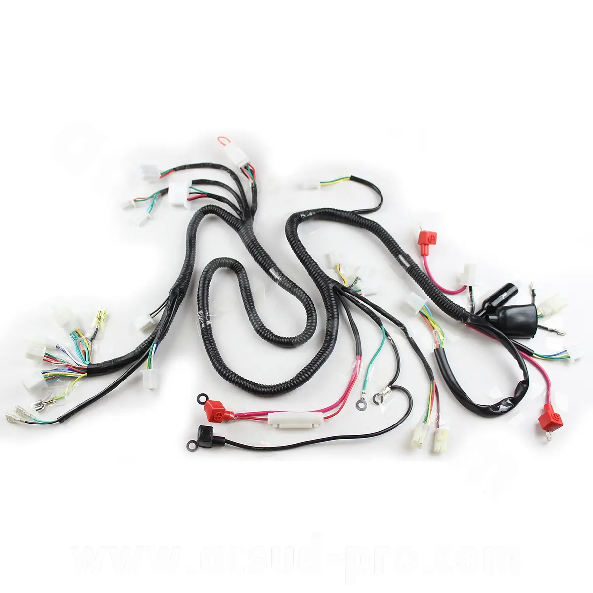 Bedrading TNT Motor Roma 2T 10 en 12 inch Euro 3 met automatische lichtaanzet (34 connectoren)