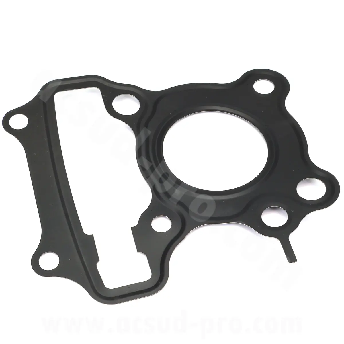 Zylinderkopfdichtung TNT Motor Halo 12P / Boston 12P / Escape / Streetmax