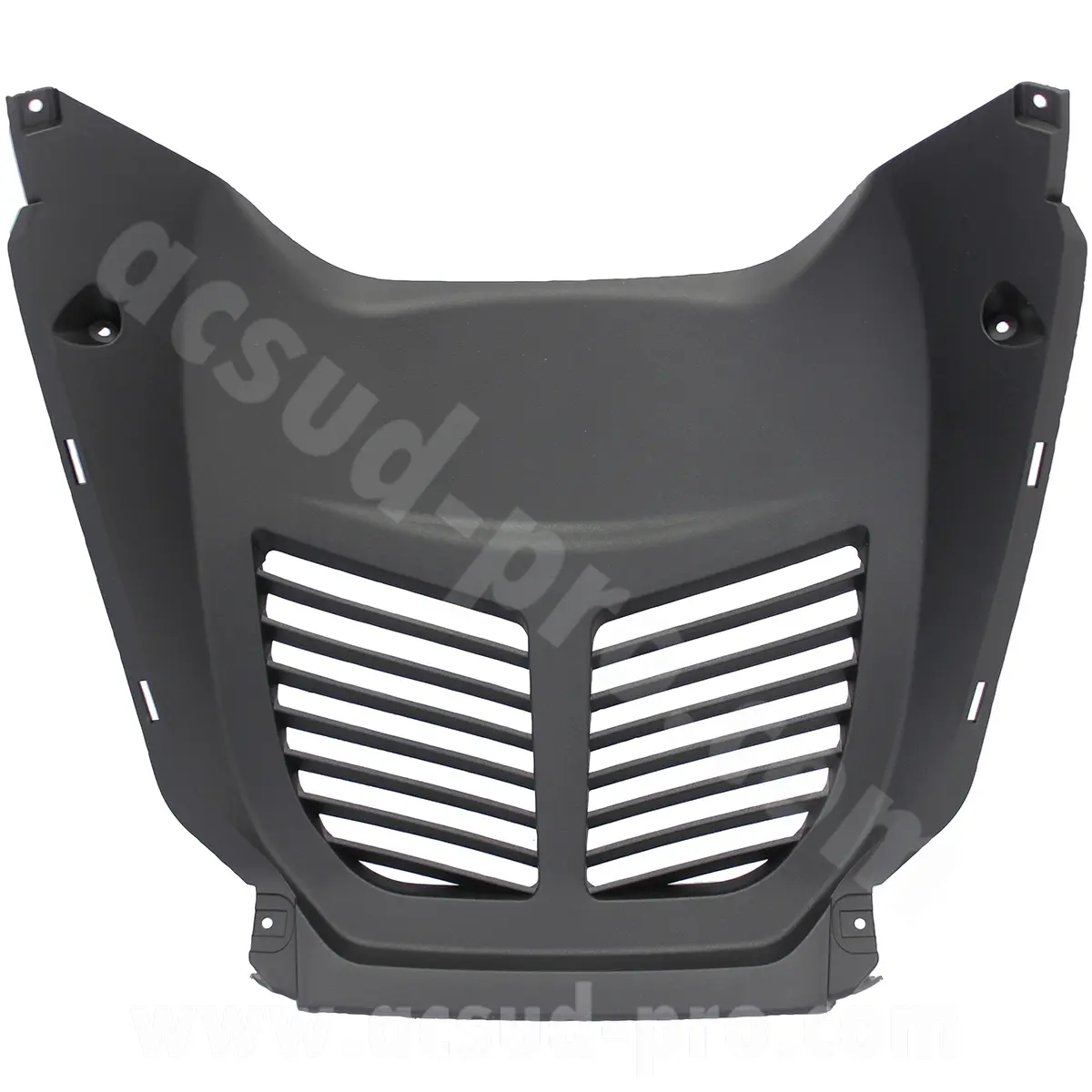 Vorderraddurchlass Longjia Easymax 125 cc