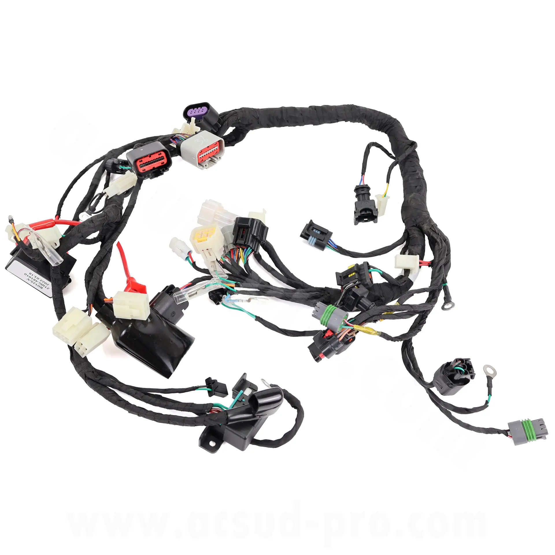 Faisceau d'allumage principal Archive Blackpearl 125 cc E5 version ECU double broches