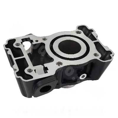 아카이브 블랙펄 125 cc E5 전면 실린더 블랙
