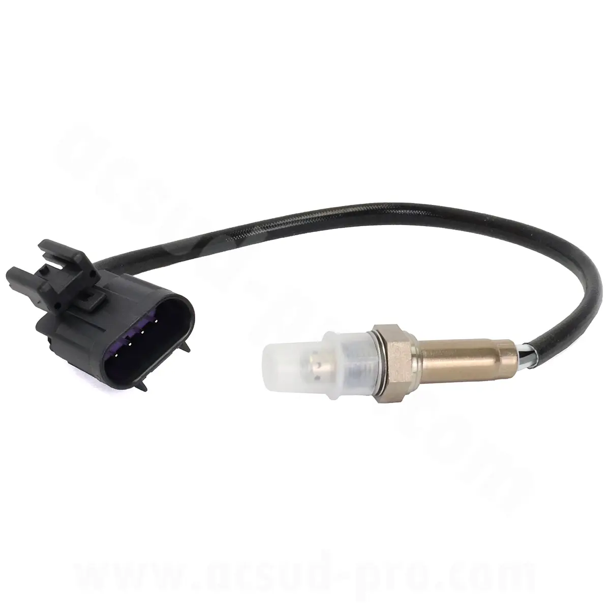 TNT Motor lambda zonde Dixon E5 / E5+