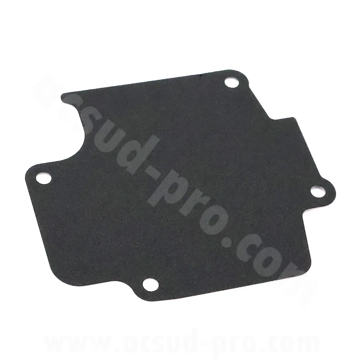 Joint de plaque de séparation d'huile TNT Motor XCO 125