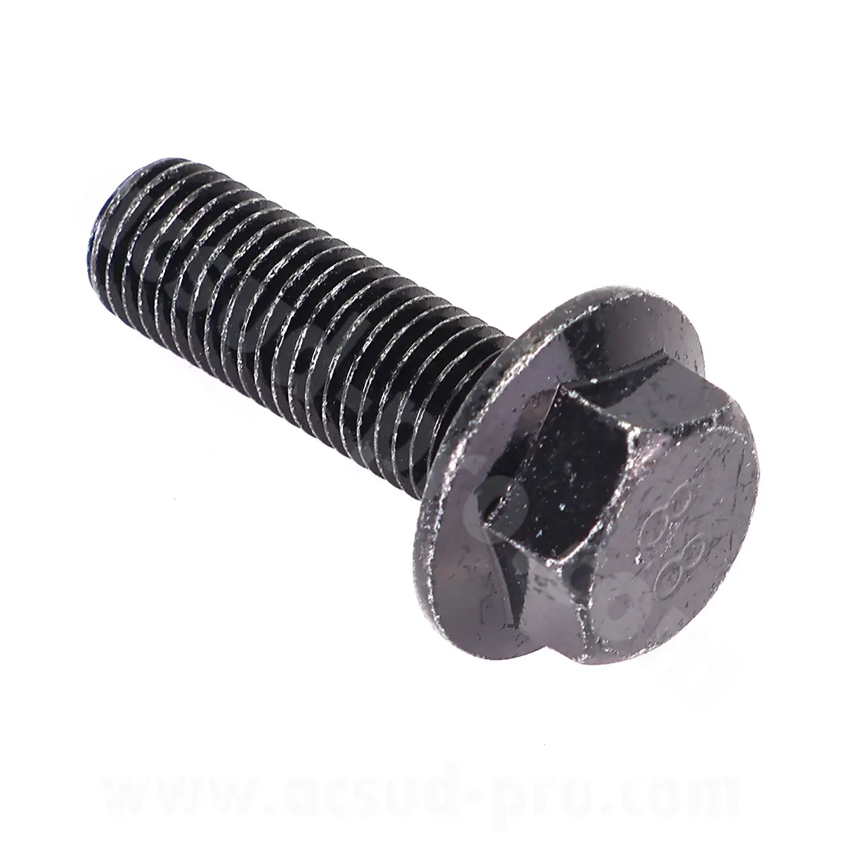 Zentralständer-Schraube M10X1.25 LVNENG X1 S3 S4 S5