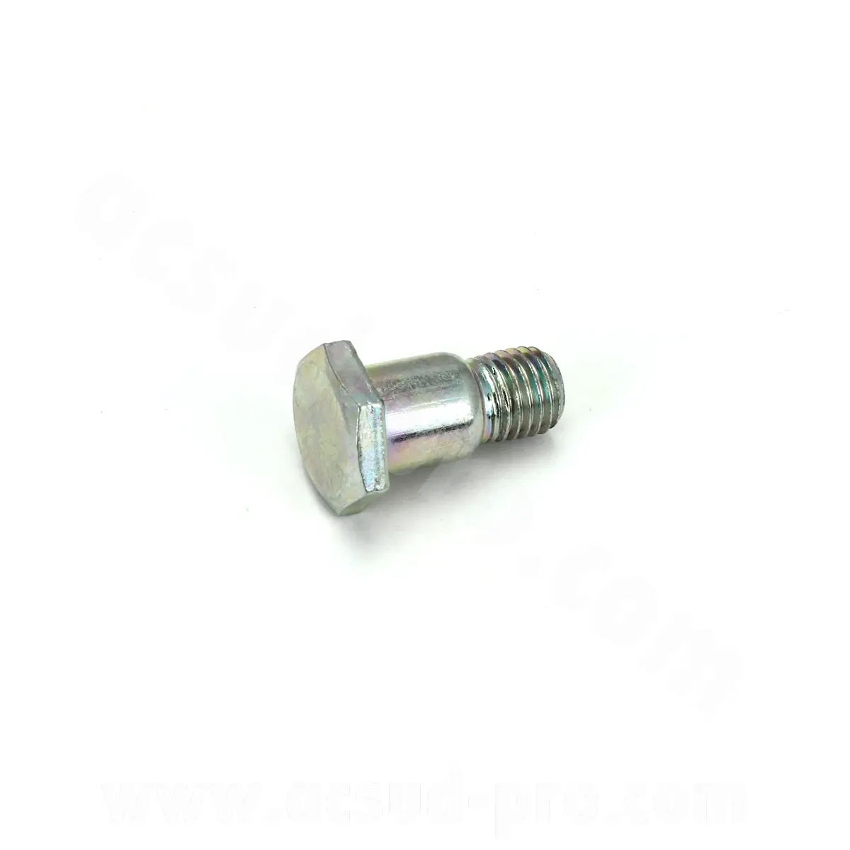 Varžtas M10X1,25 Lvneng