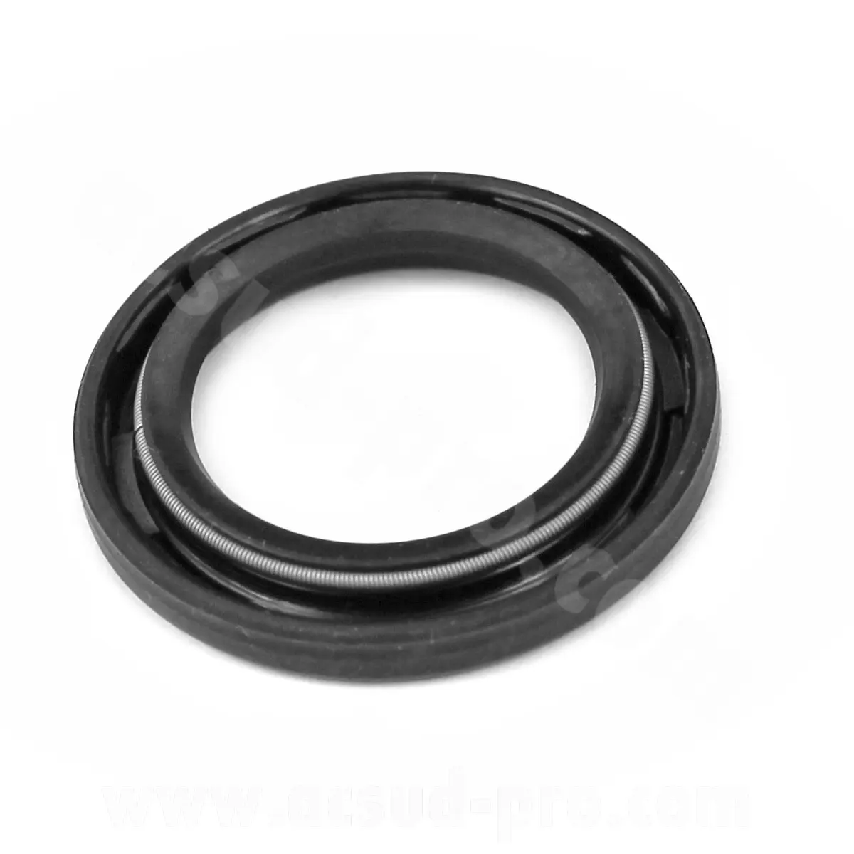Kurbelwellen-SPI-Dichtring passend für Solex 21 x 31 x 3,5 Selektion P2R