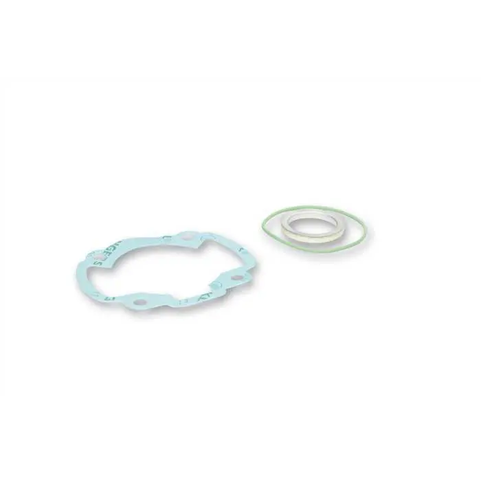 Complete gasket set MALOSSI GR terminal ø 47