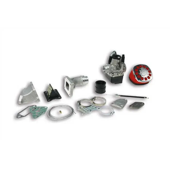 MALOSSI brandstofpomp PHBL 25 B cilinderlamellen voor Vespa ET3 Primavera 125
