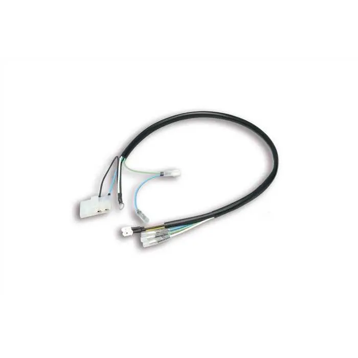 Kabel MALOSSI VESPower